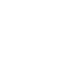 Cleanses & Nourishes Gut