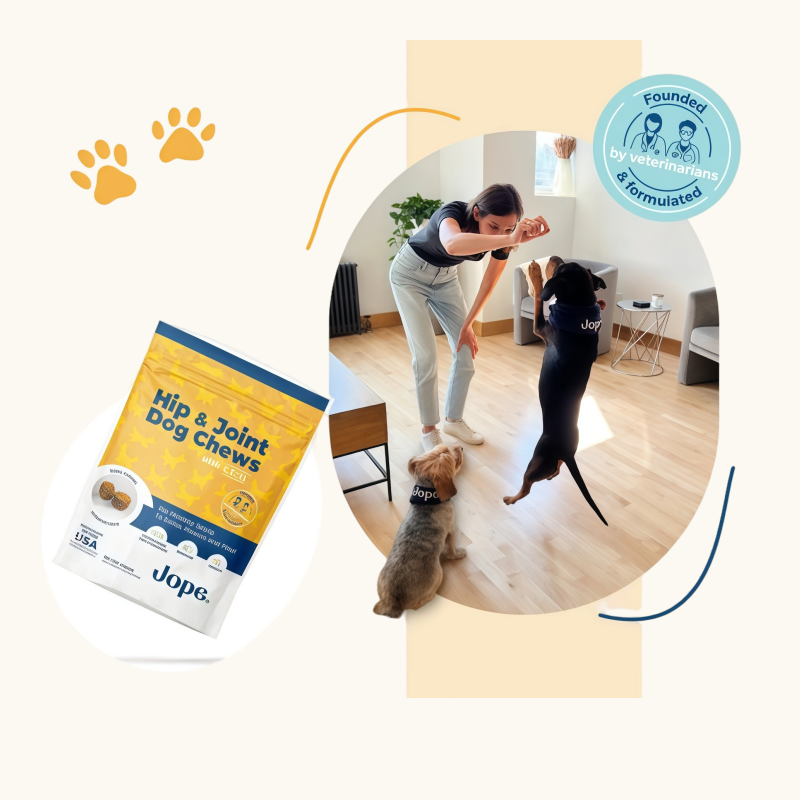 Because Your Pet Deserves More Than Promises.