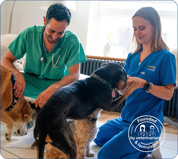 Built by Vets Who Couldn't Watch Another Dog Struggle