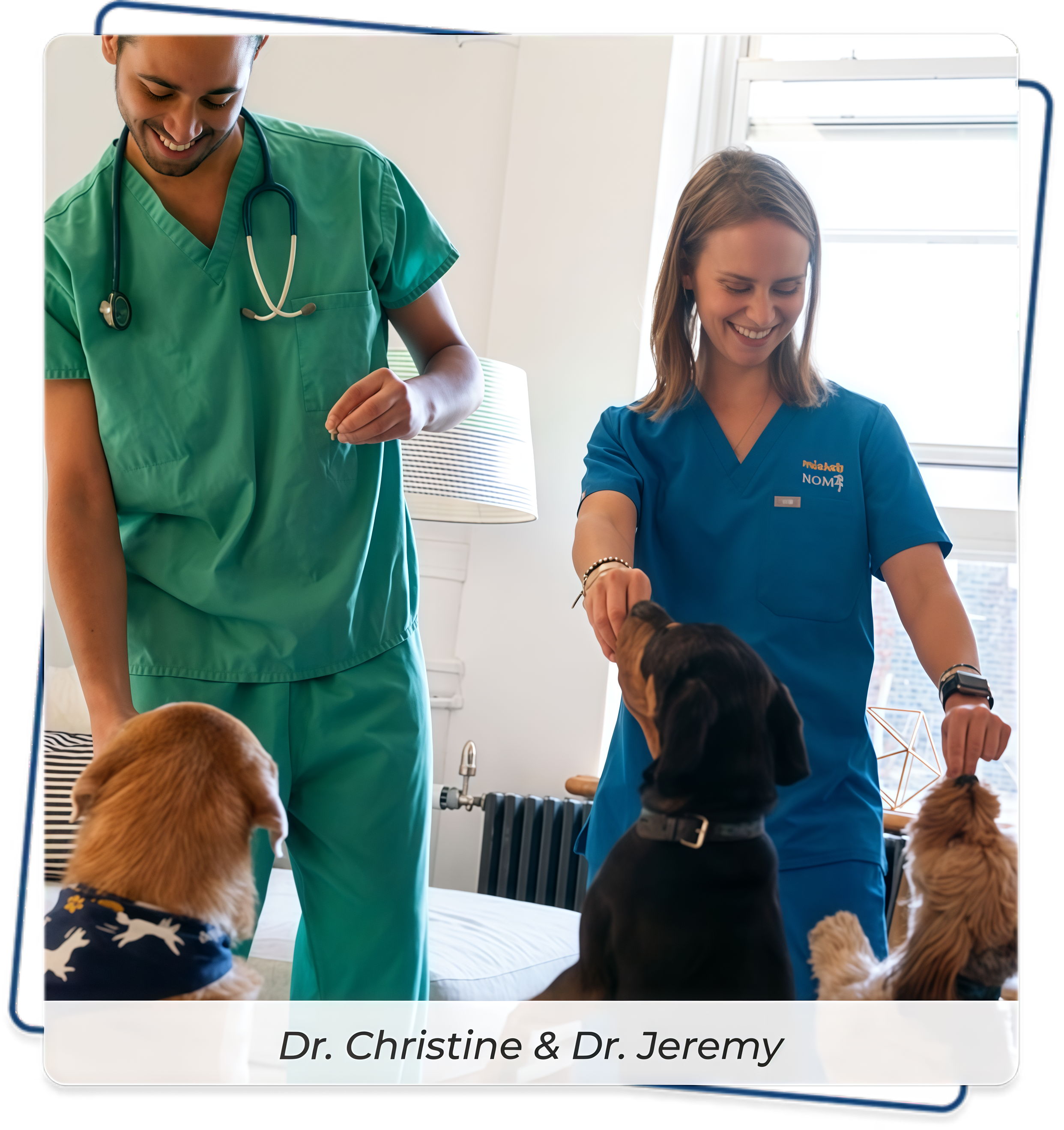 Next-Level Joint Support