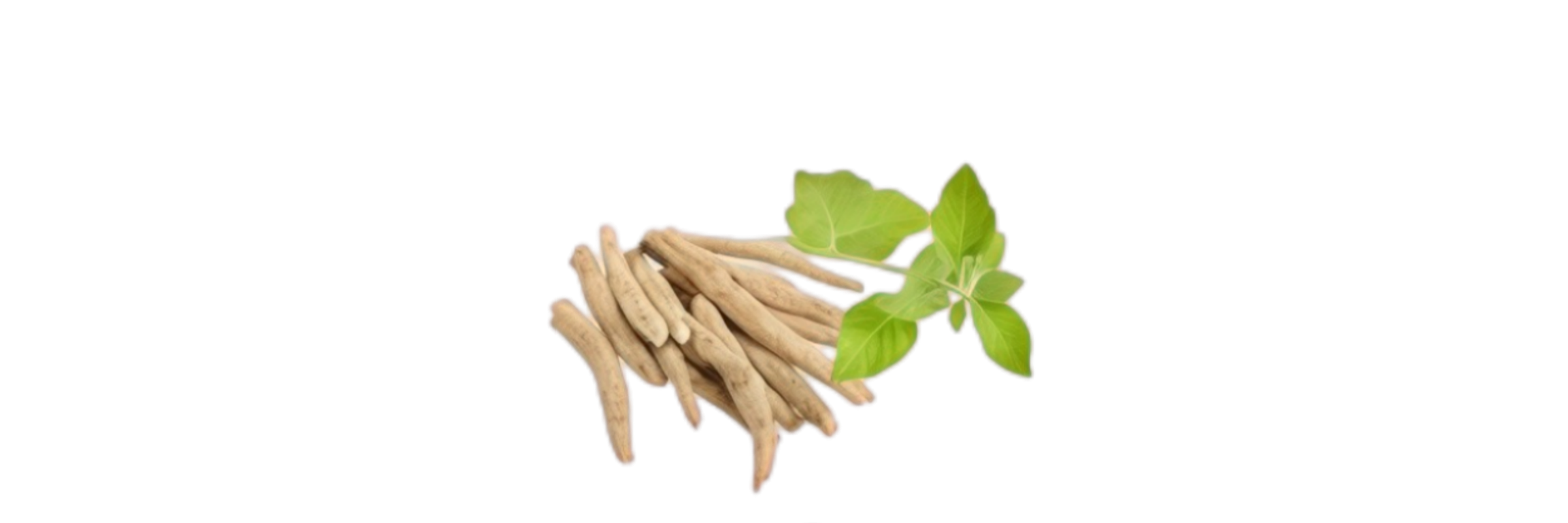 Ashwagandha
