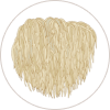 Lion's Mane