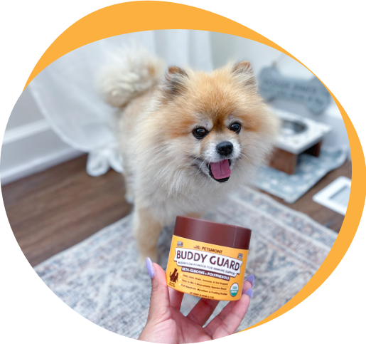 Why Give Buddy Guard To Your Pup?