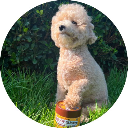 Watch Your Dog Thank You!