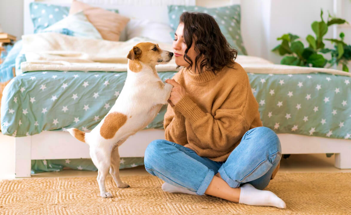 Peace Of Mind For Dog Owners