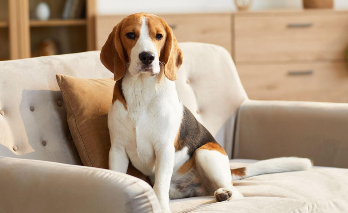 Smooth Bumps & Lumps - Free Skin