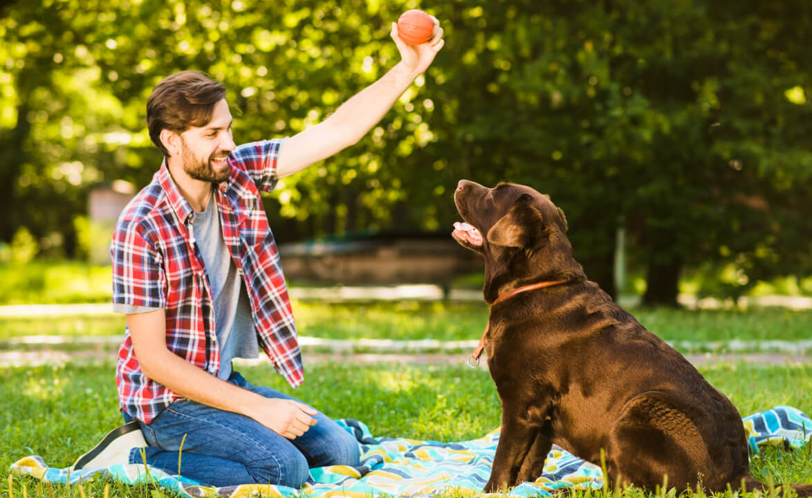 Increased Energy & Vitality