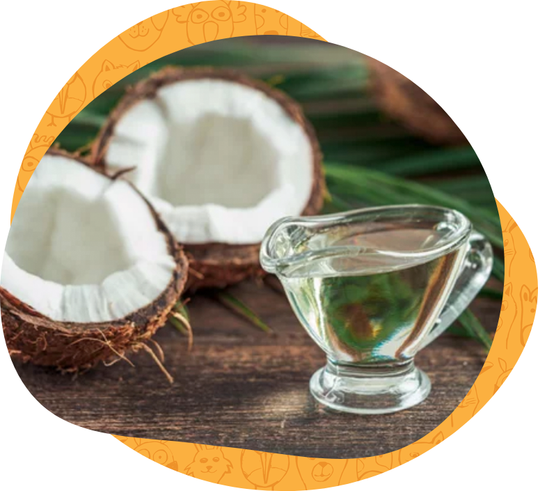 OUR MISSION AT PETSMONT